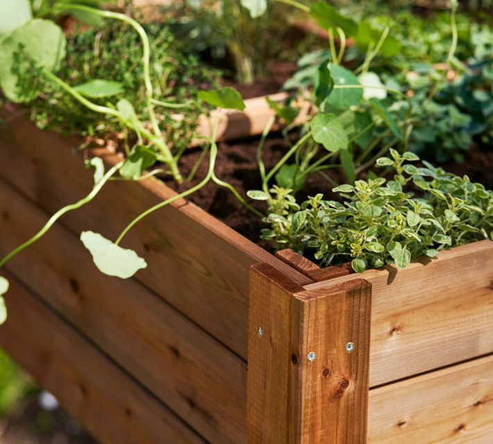 planter box